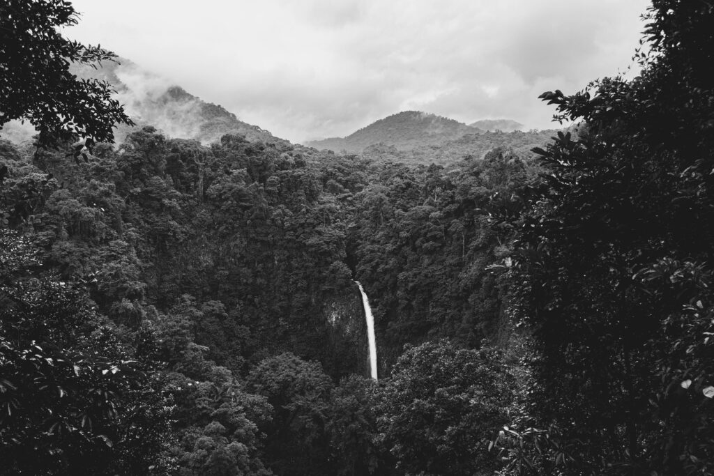 Costa Rica - Jungle