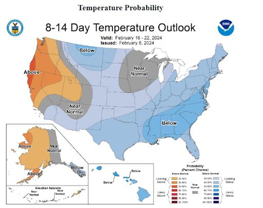 8-14 Day Temperature Outlook 02-11-2024