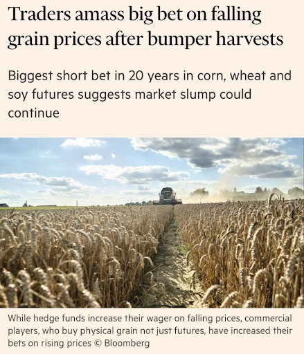 Falling Grain Prices 03-03-2024